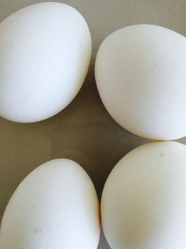 Antandros Narli Konak