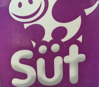 Antandros Narli Konak