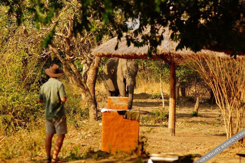 Zikomo Safari Lodge