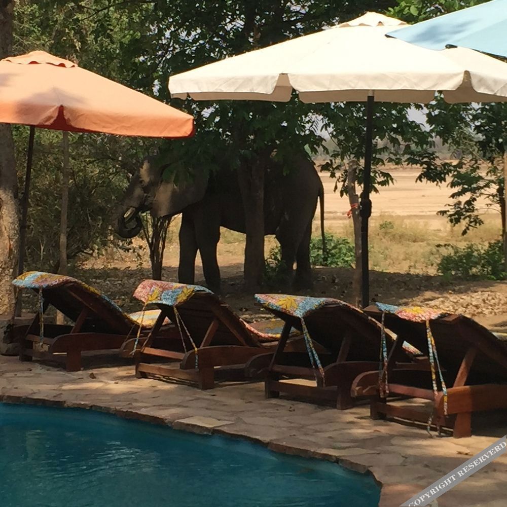 Zikomo Safari Lodge