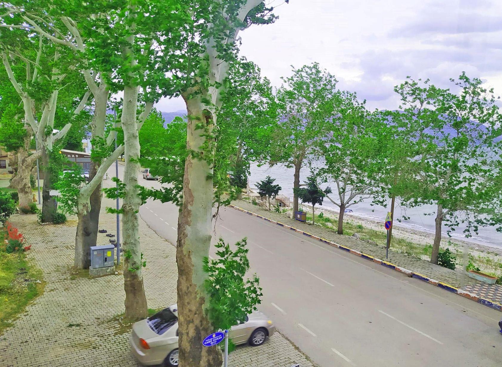 Lake view