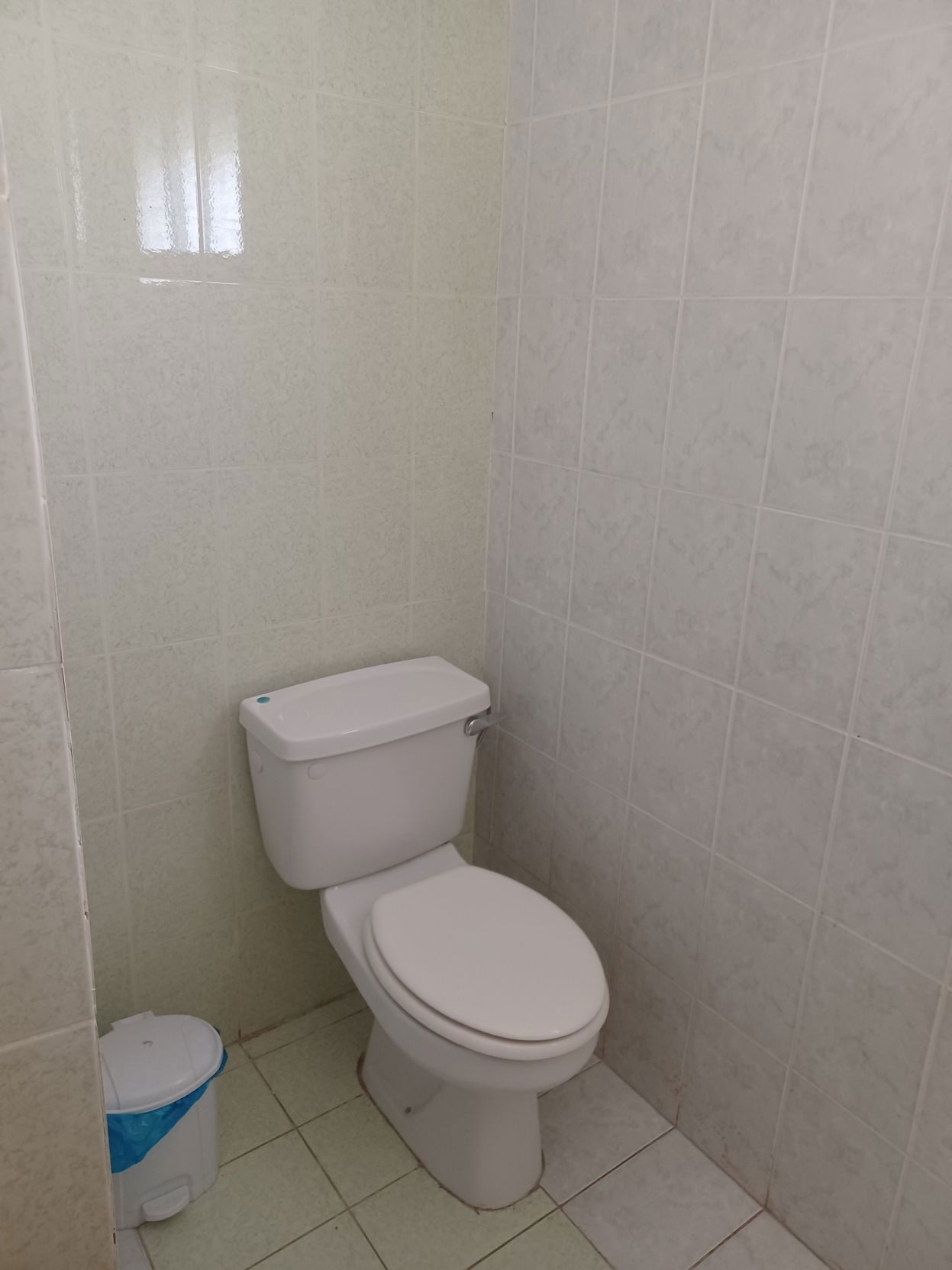 Terpsichore Holiday Apts