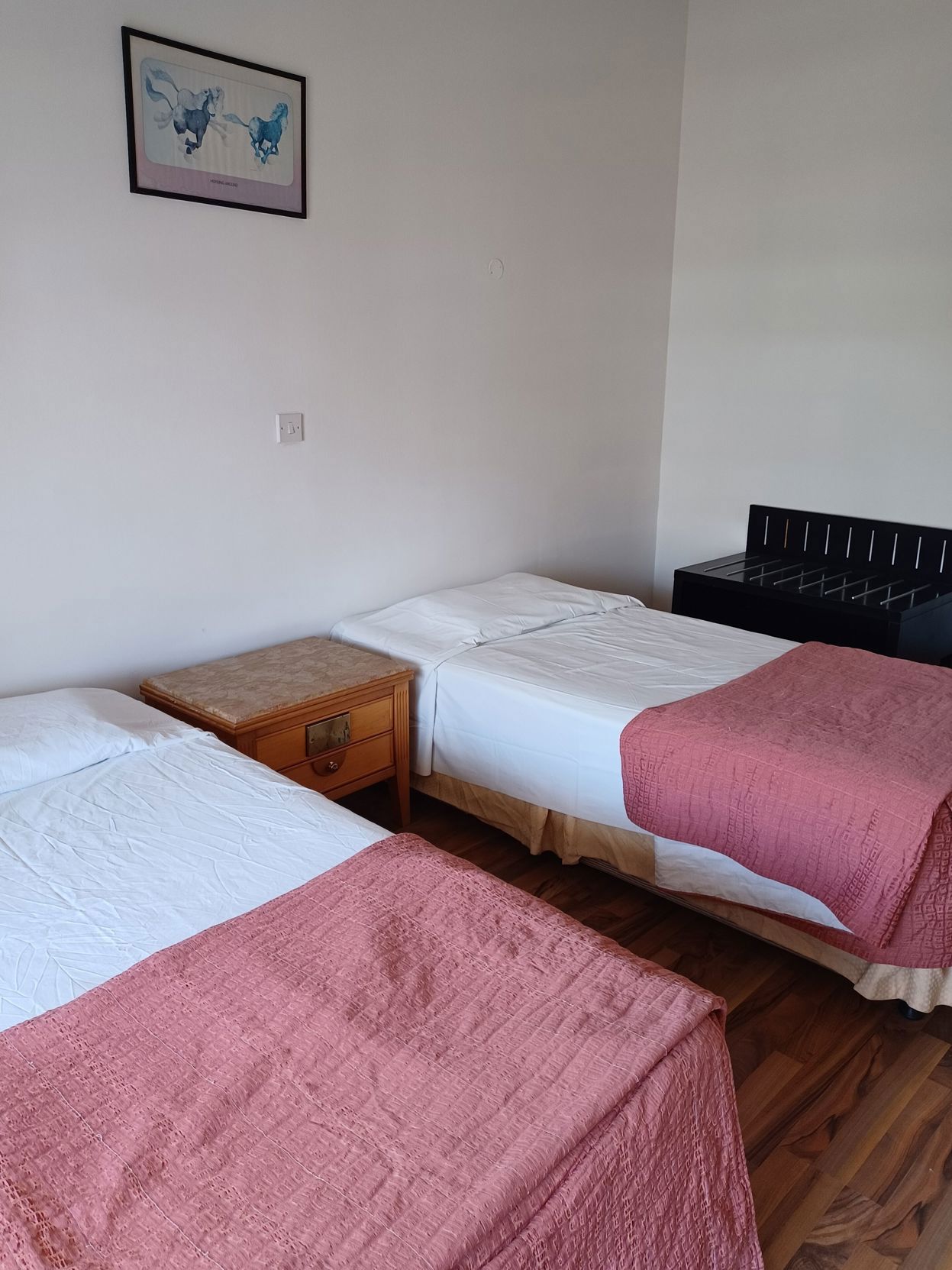 Terpsichore Holiday Apts