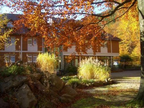 Kurpark-Flair-Hotel Im Ilsetal (Adults Only) galeri fotoğrafı