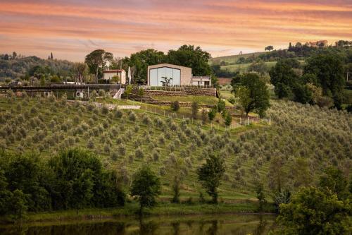 Country House Oliveto Sul Lago galeri fotoğrafı