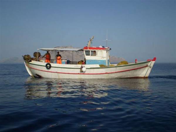 Pelagos galeri fotoğrafı