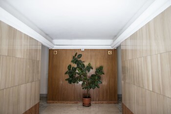 Il Magnificus Boutique galeri fotoğrafı