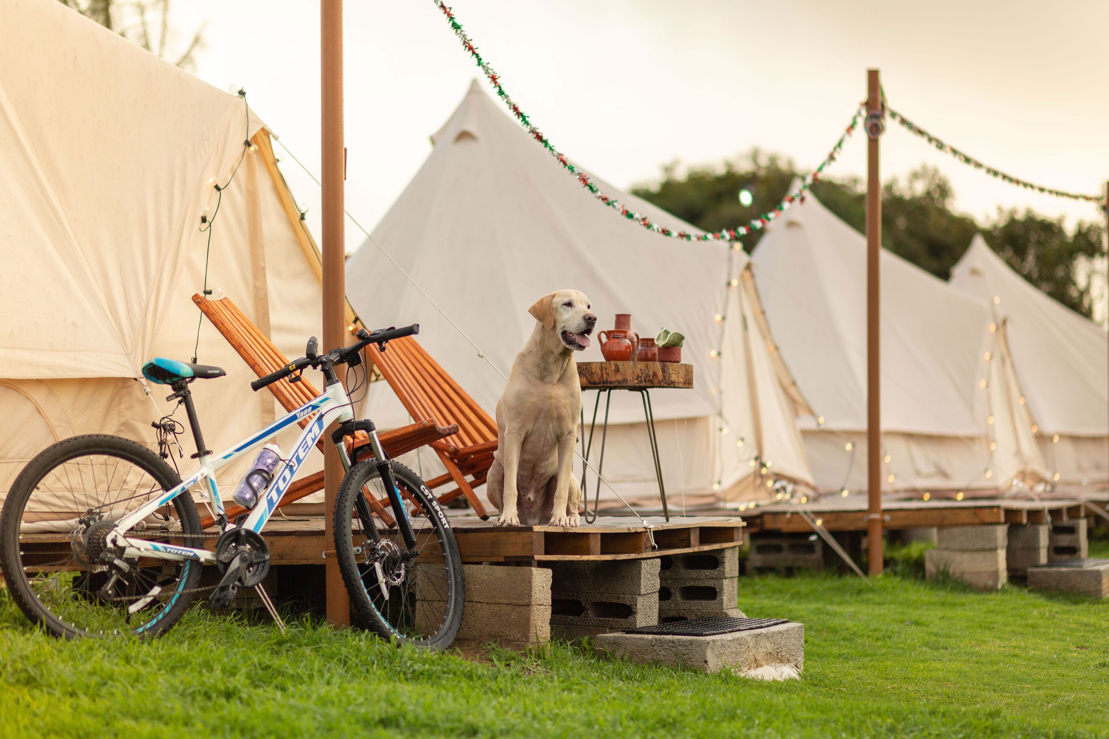 Glamping Octli - Santuario De Las Luciernagas X Nantli Living