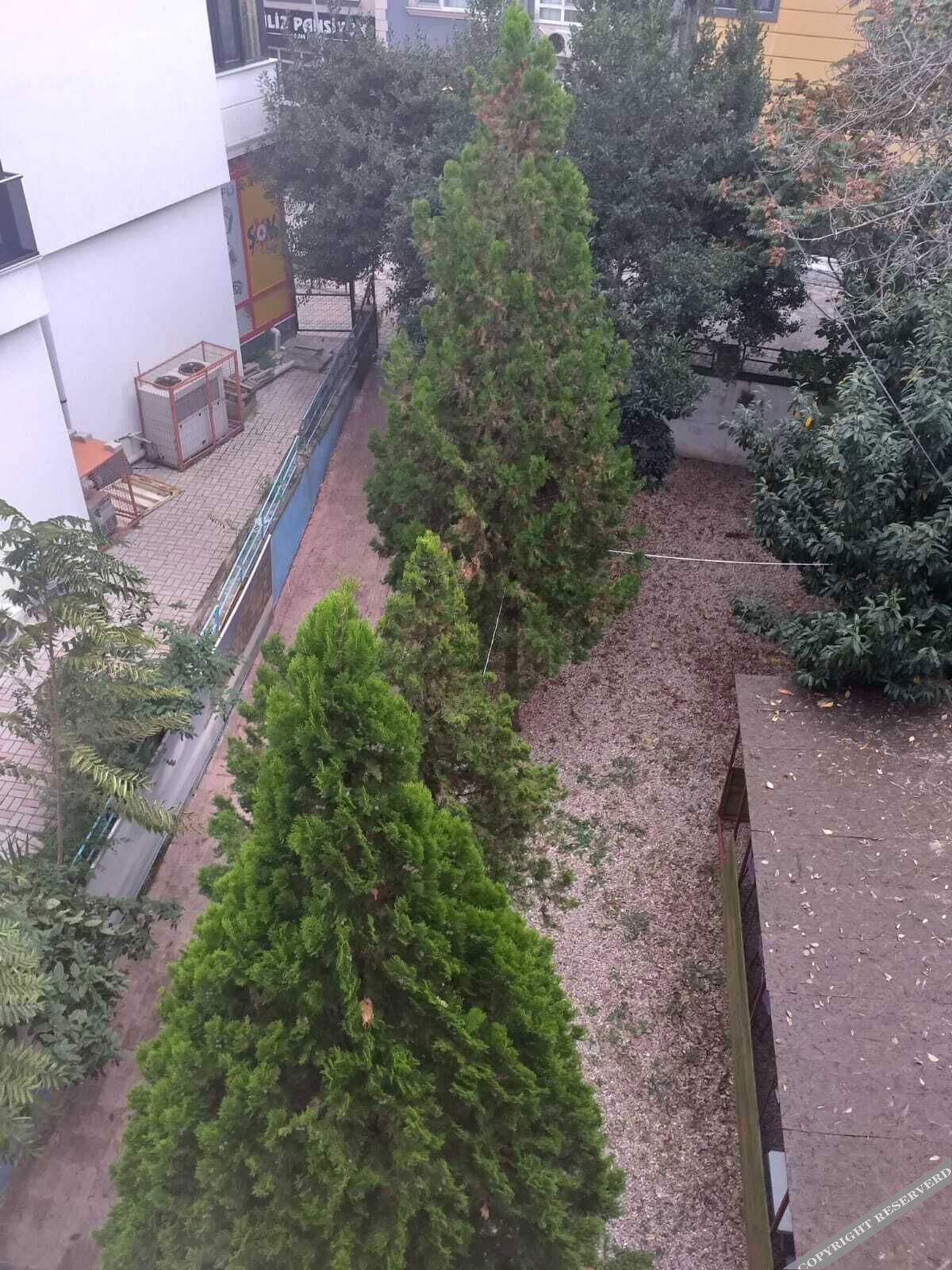 Ayışığı Gönen Kaplıcaları