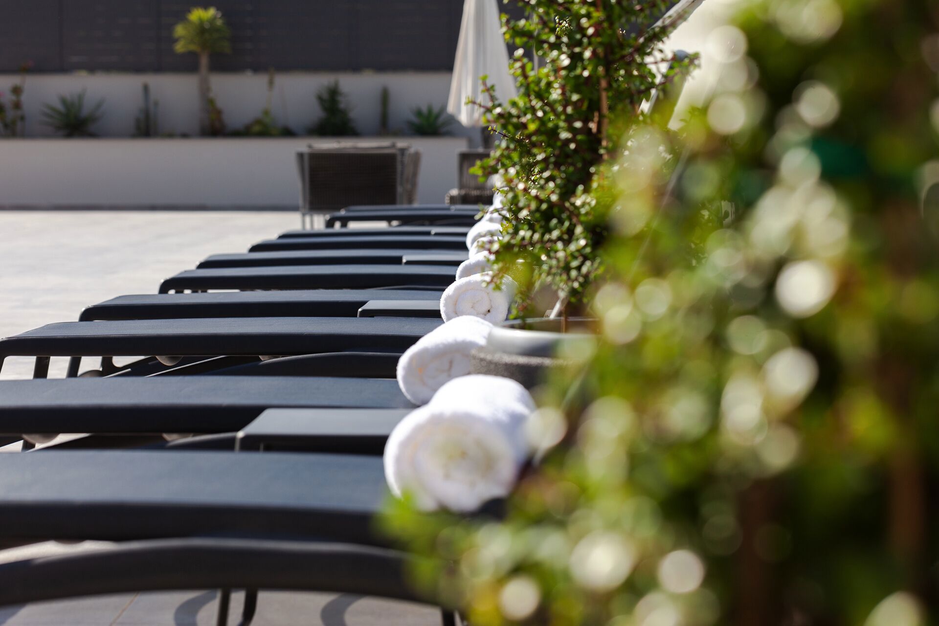 Only Boutique And Suites