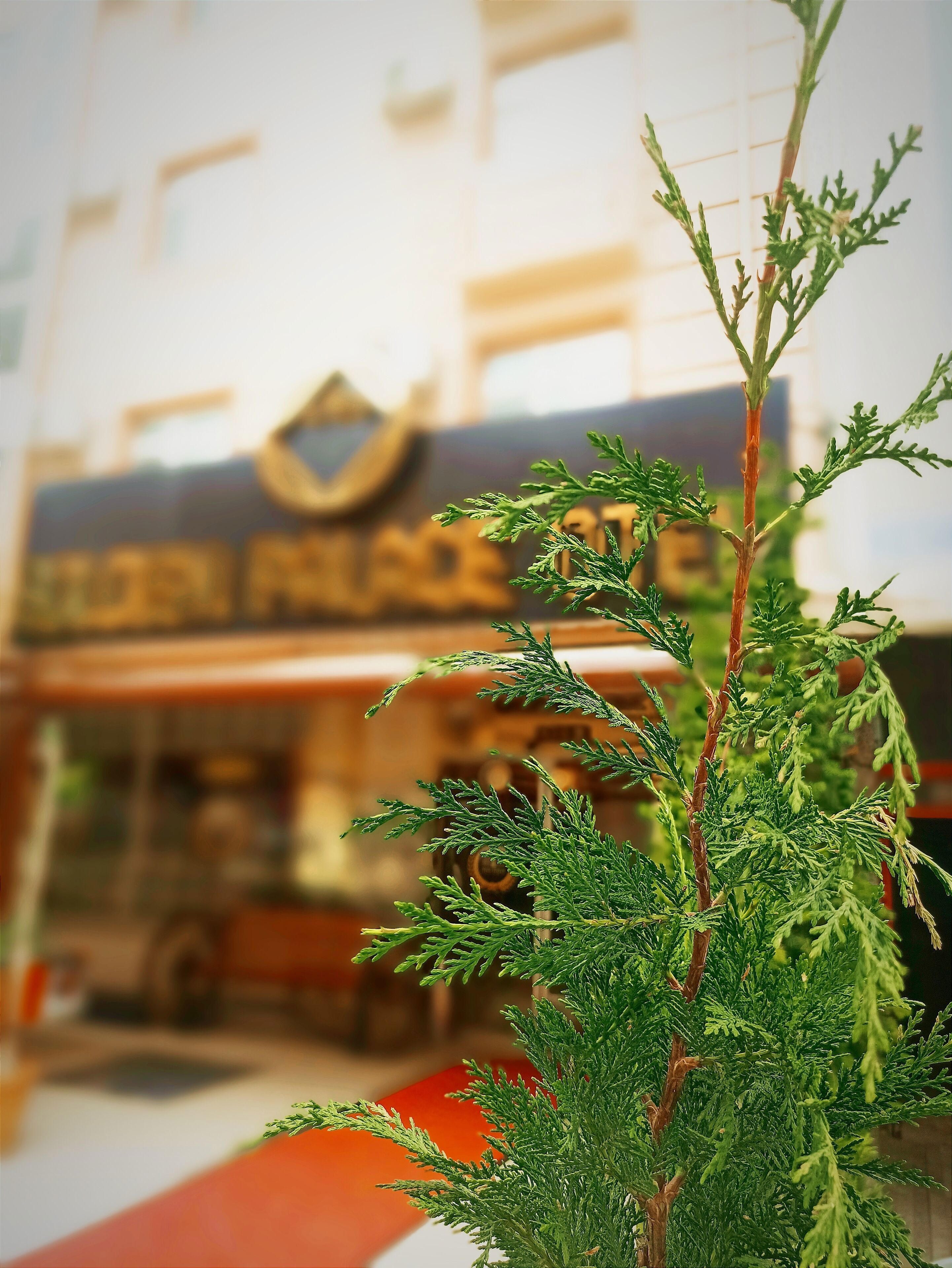 Golden Palace Otel Polatli galeri fotoğrafı