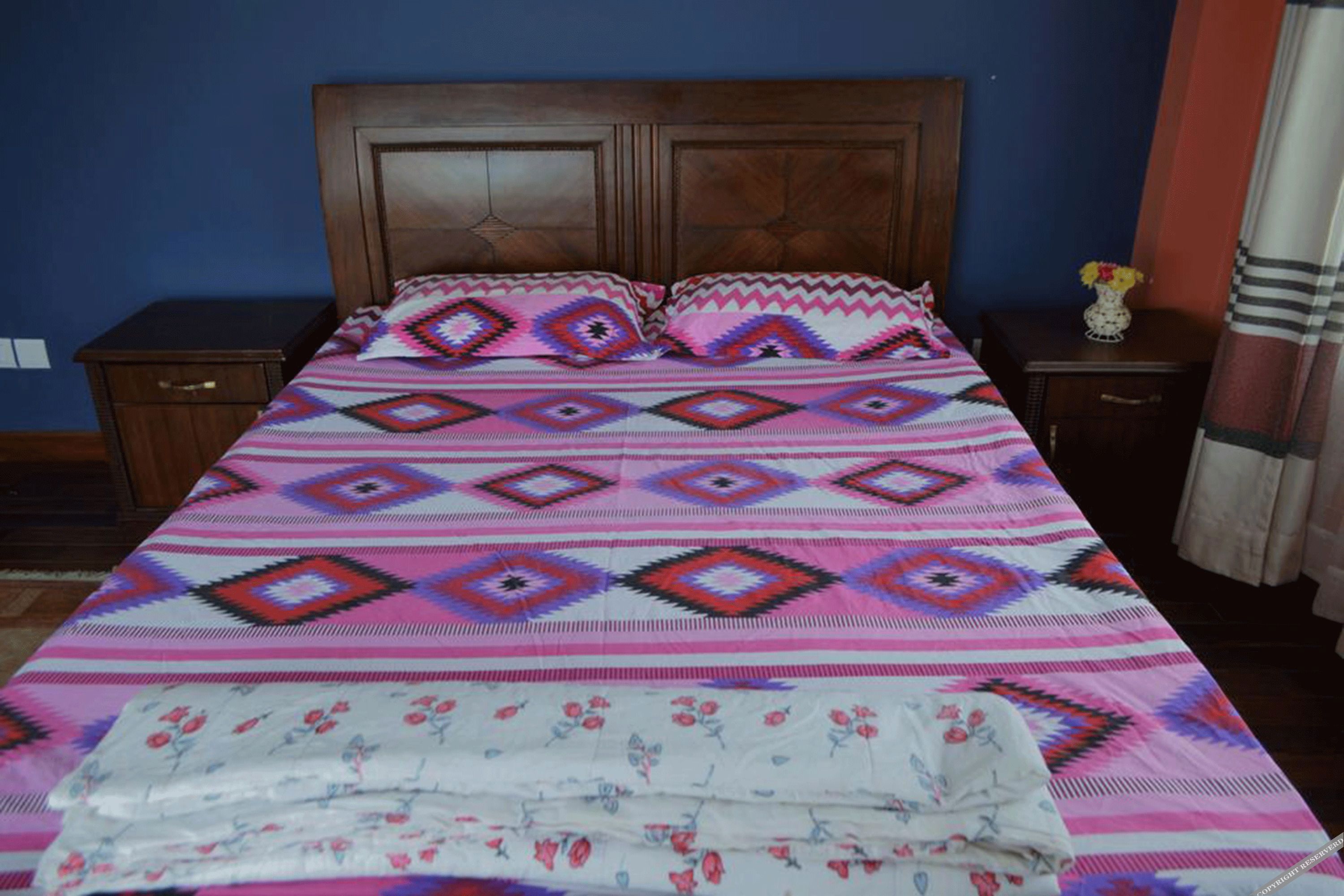 B&B At Cozy Home In Banasthali