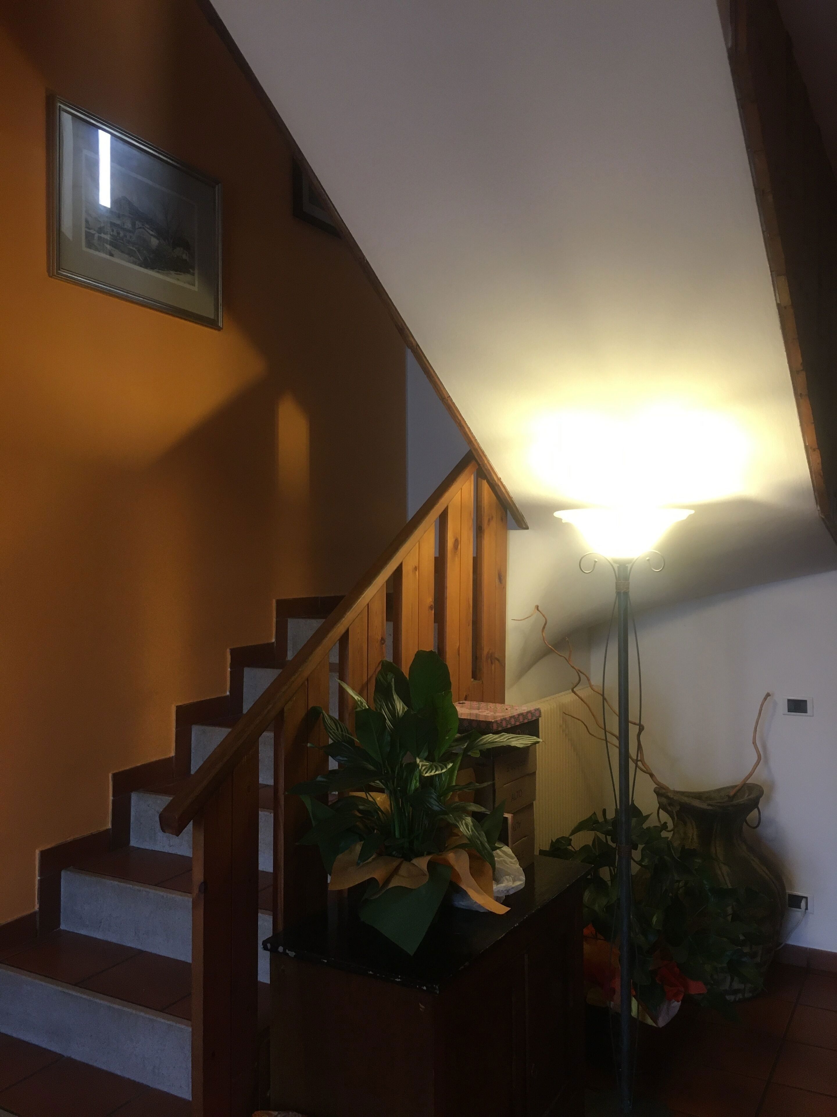 Albergo Ristorante Lis Aganis galeri fotoğrafı