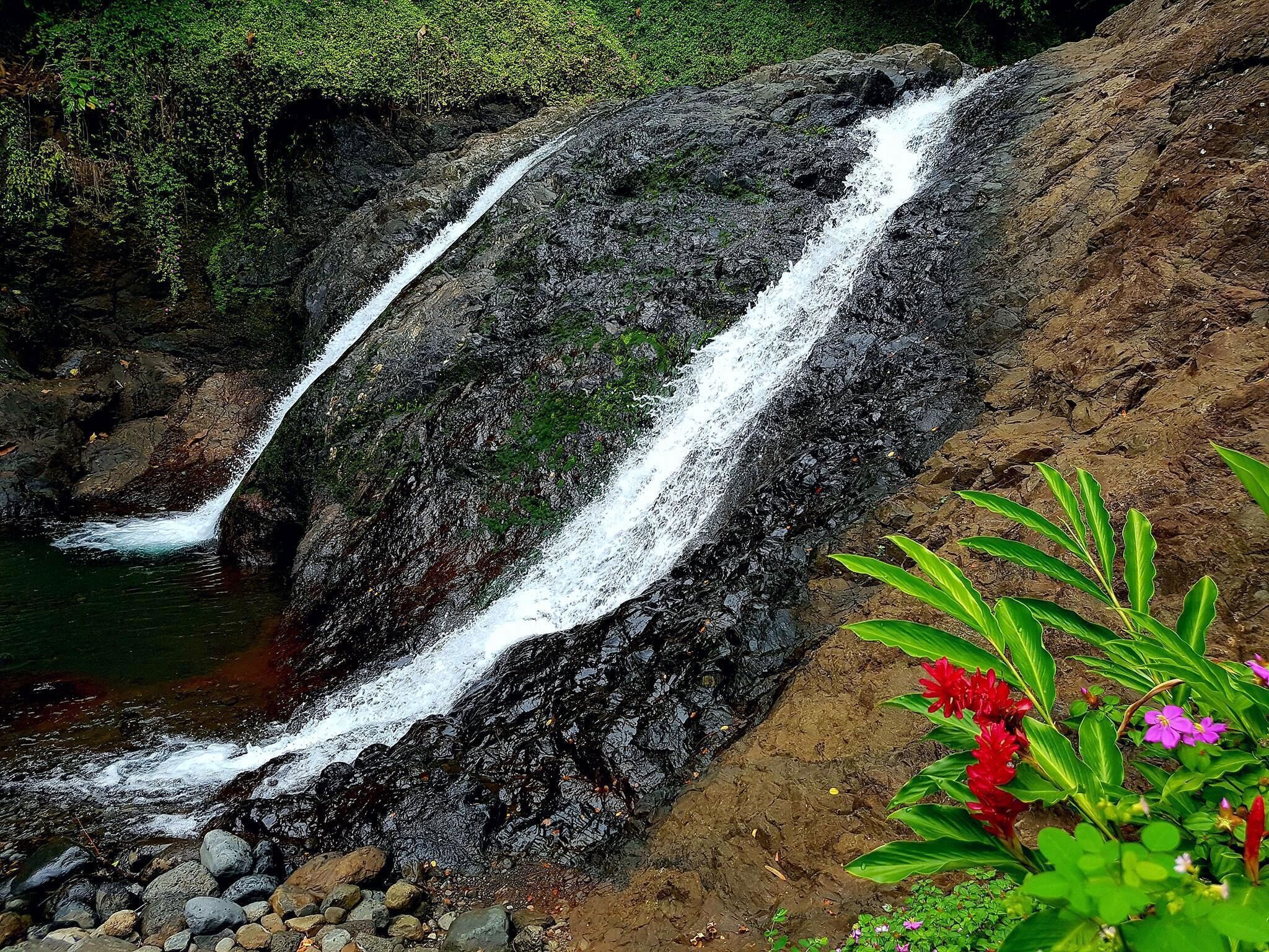 Apia Inn