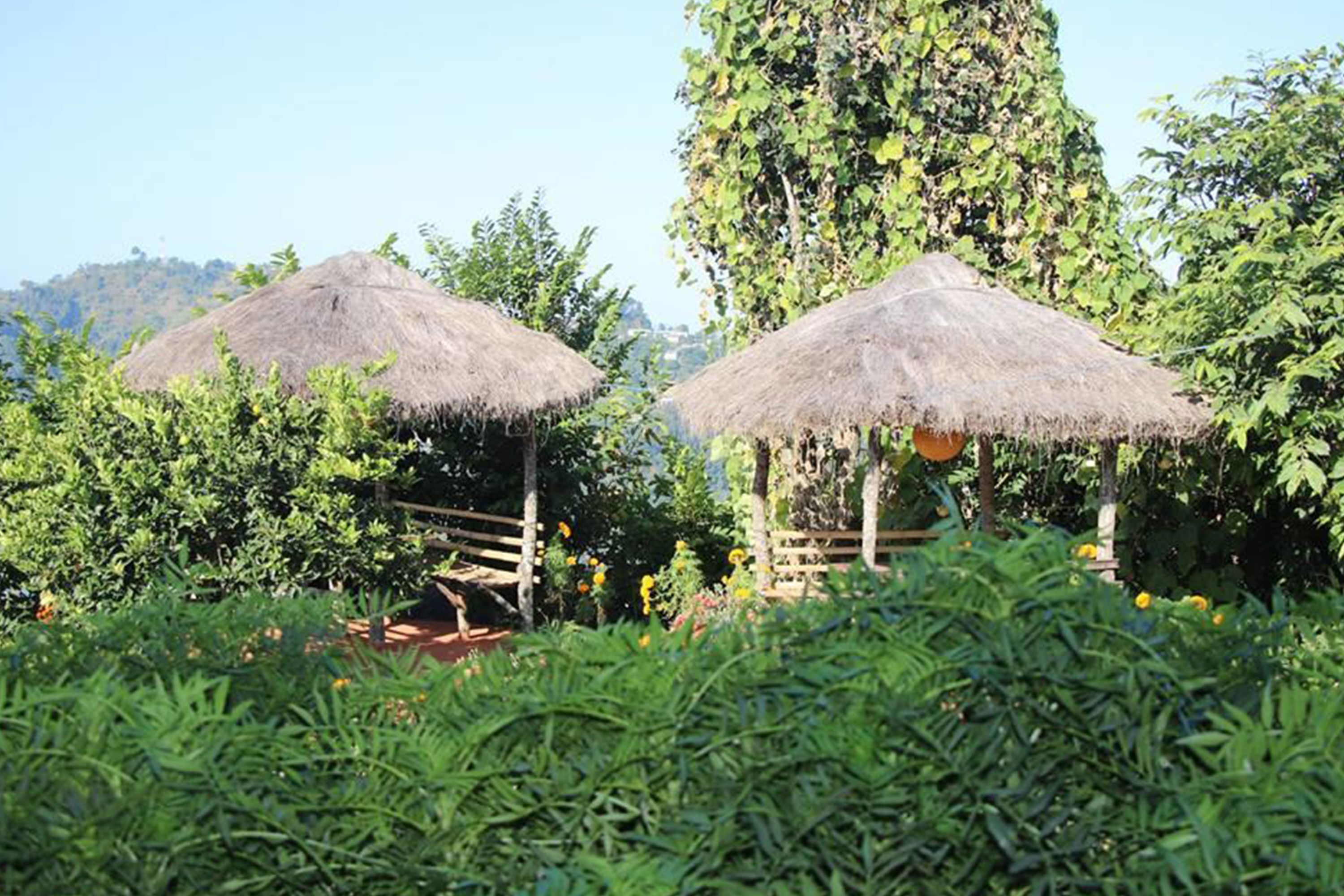 Bairav Village Farm