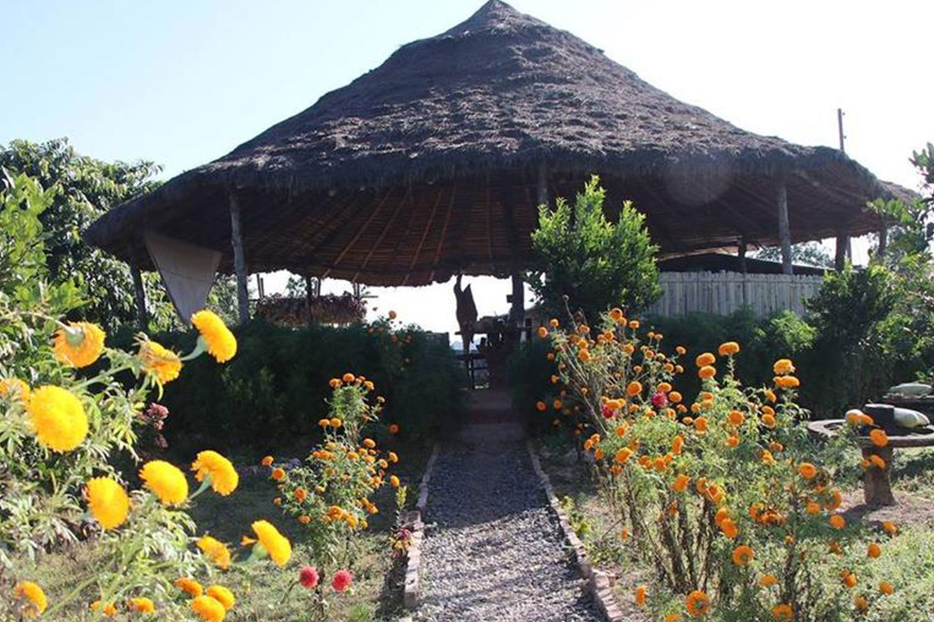 Bairav Village Farm