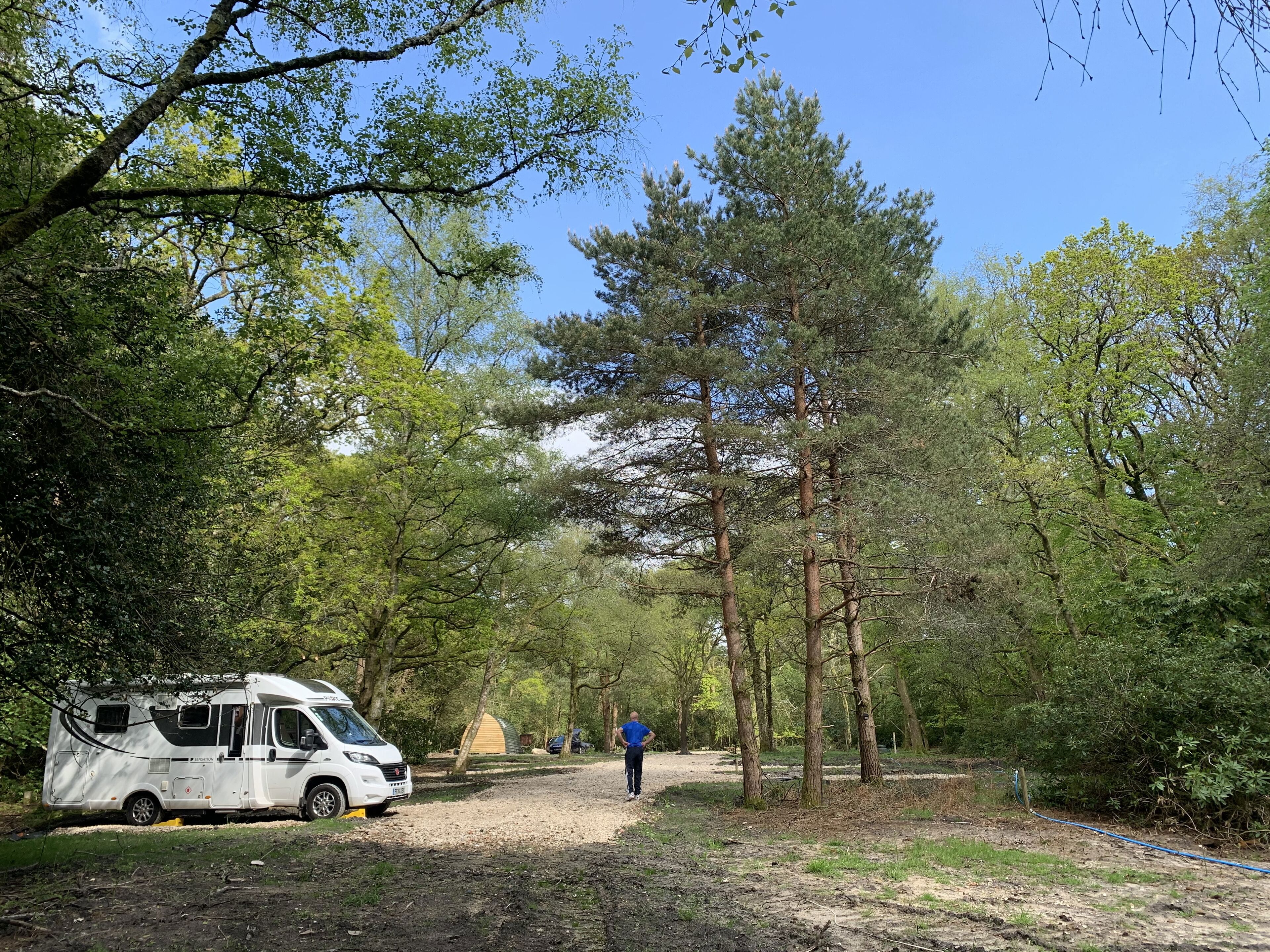 Nightjar Cabin At Cloudshill Glade