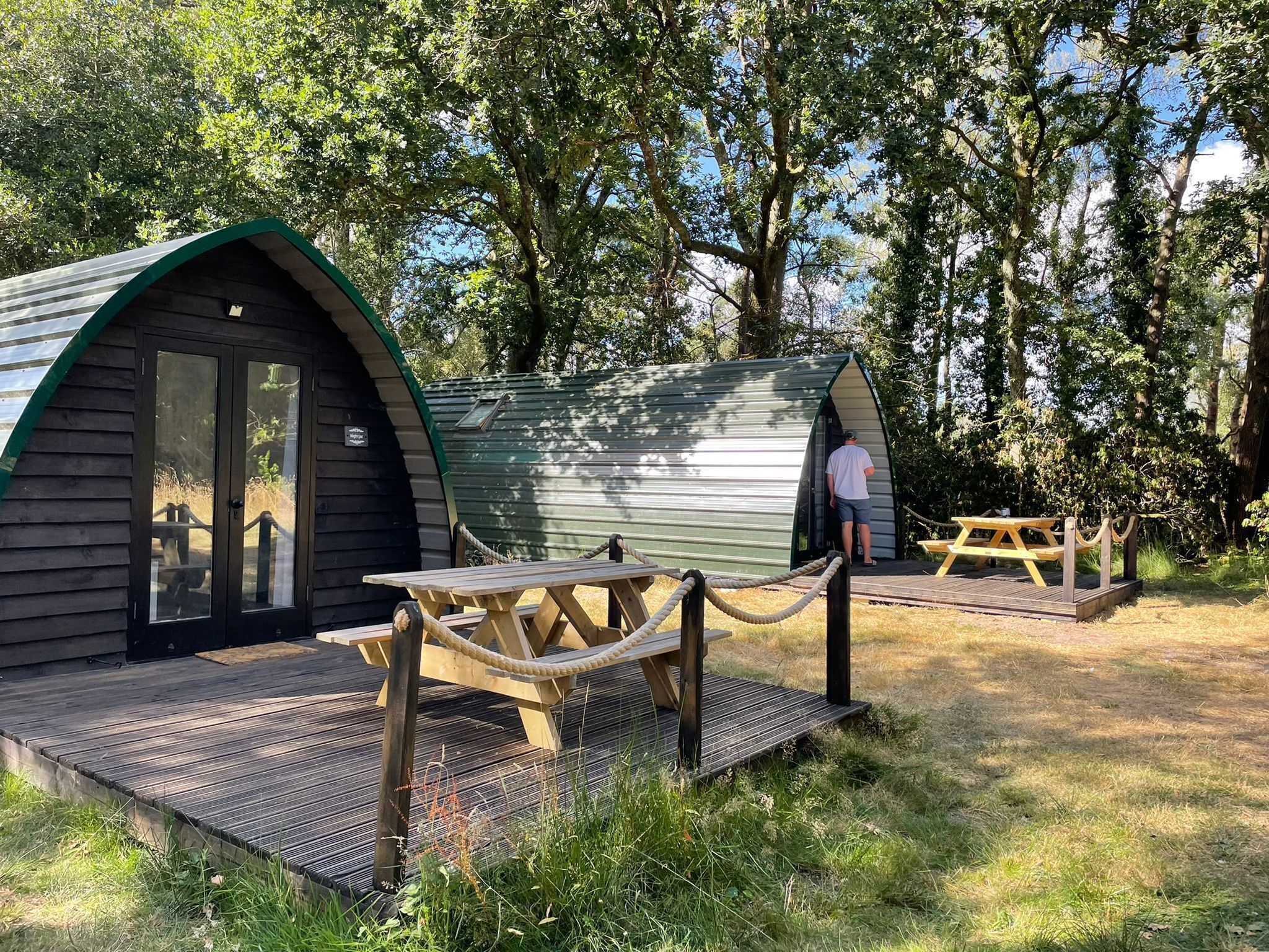 Nightjar Cabin At Cloudshill Glade