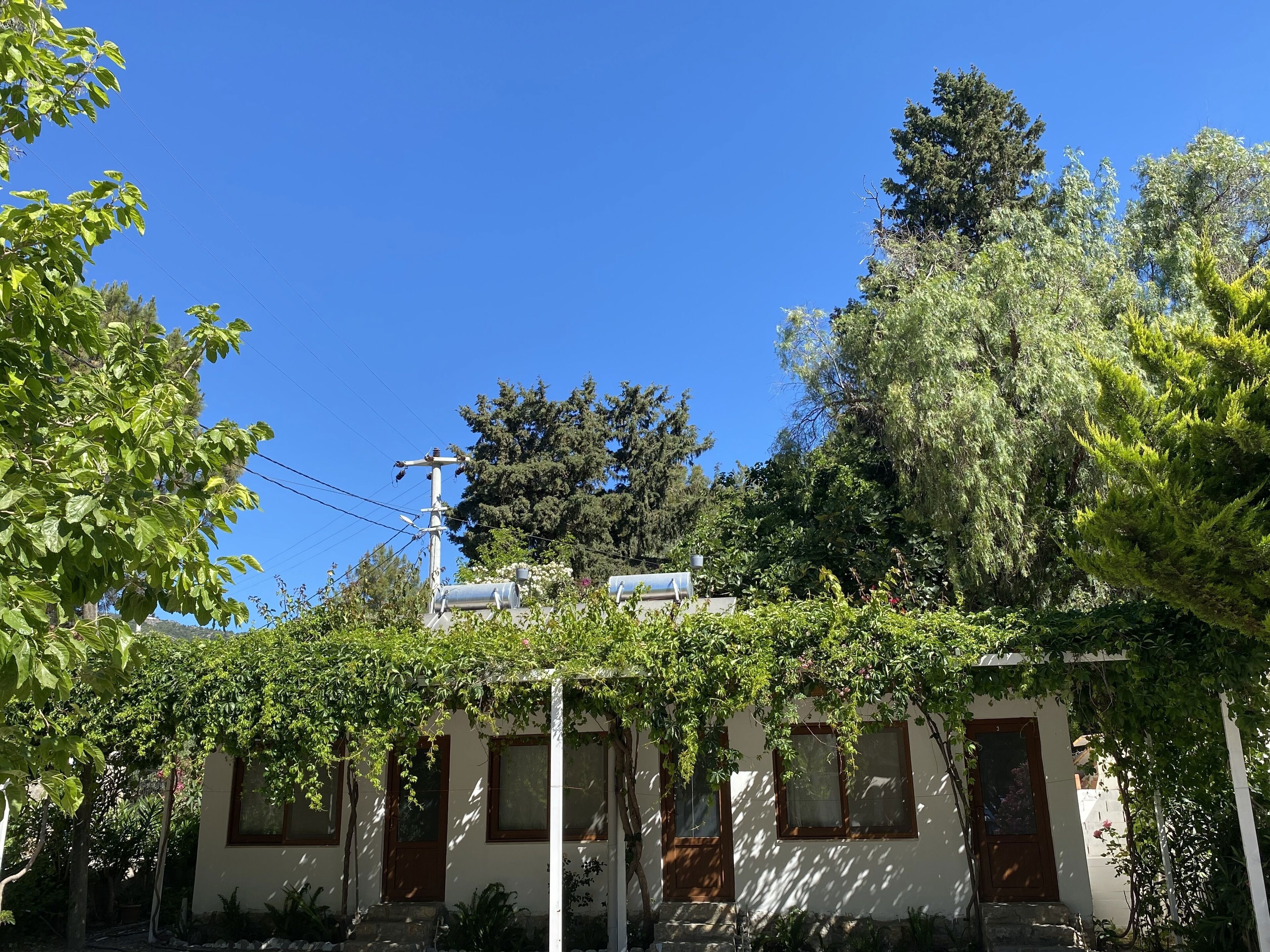 Berke Cafe&Pansiyon galeri fotoğrafı