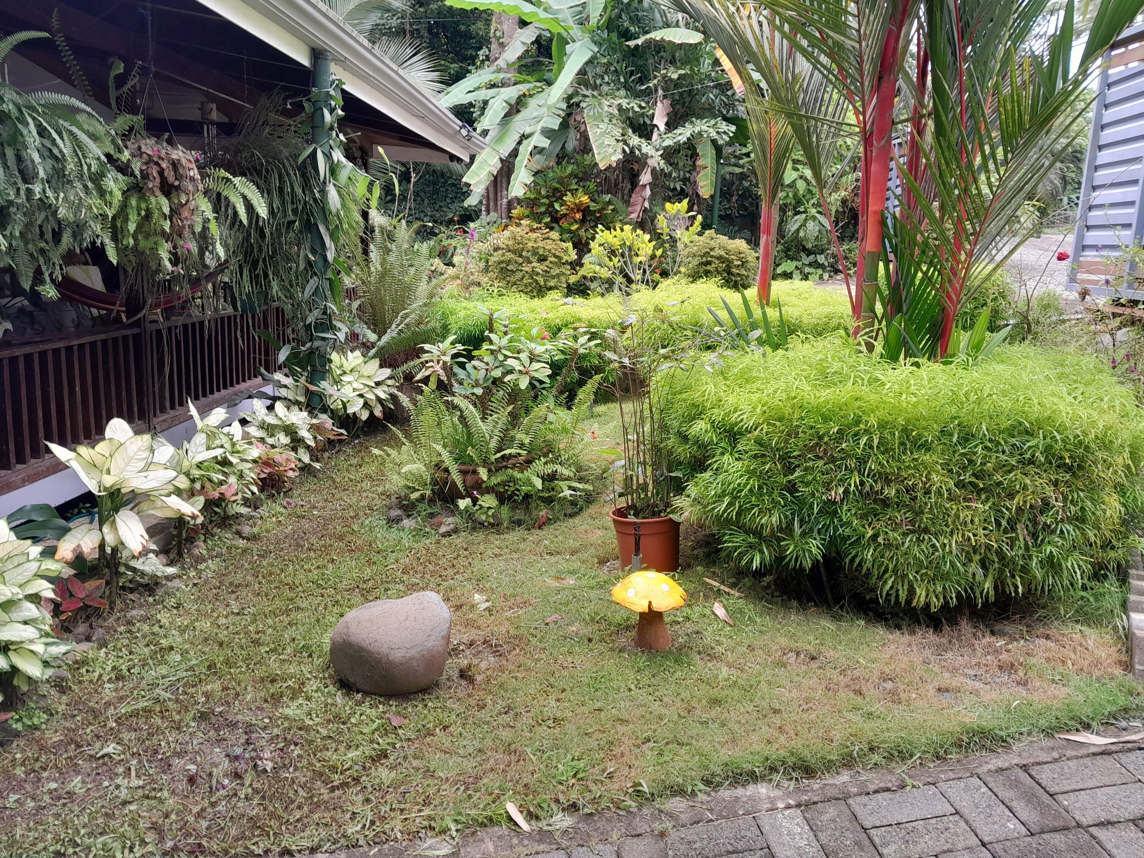 Casas Guaney