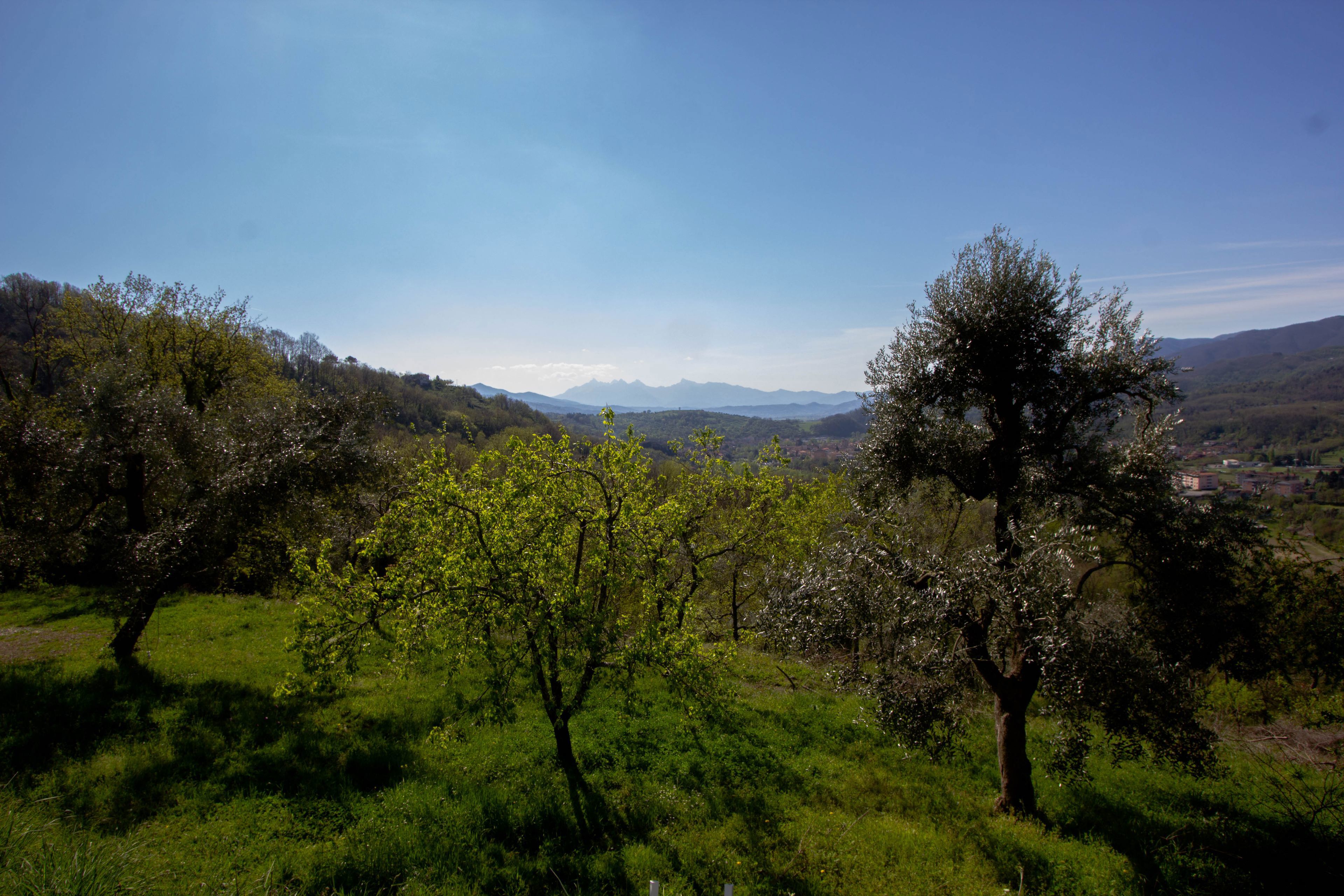 Agripodere Il Falco galeri fotoğrafı
