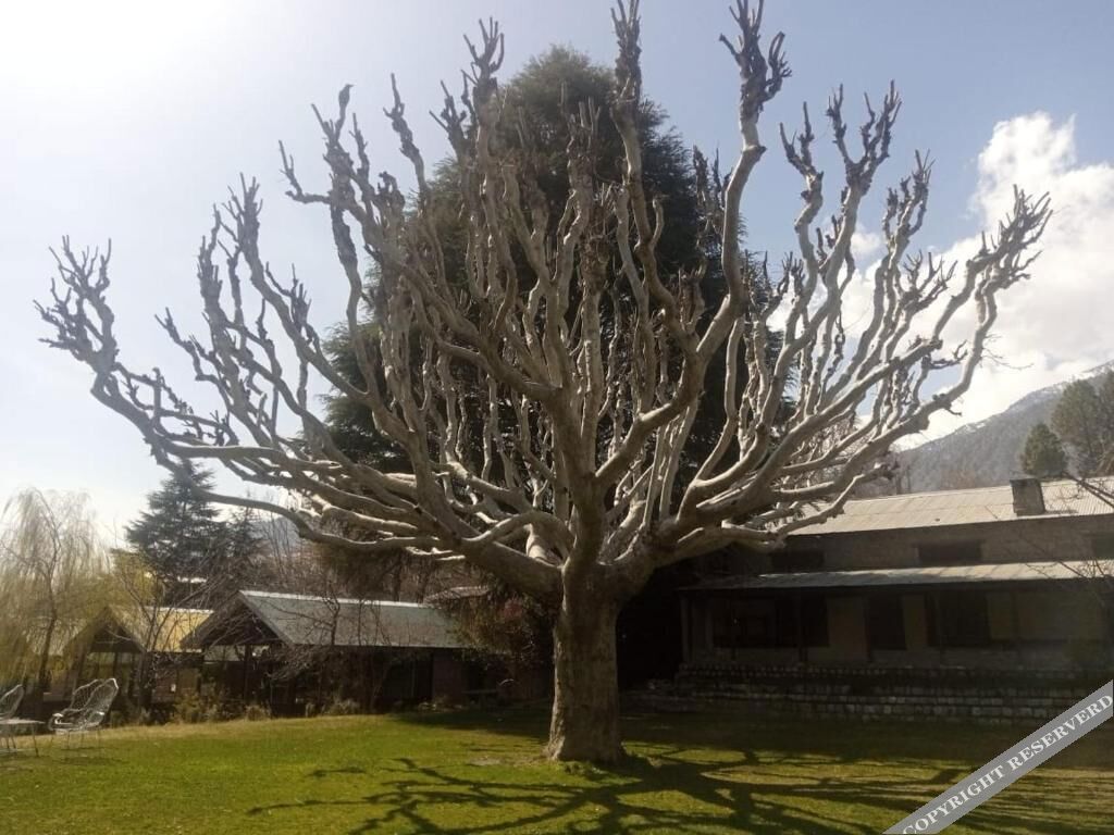 Mountain Inn Hotel Chitral