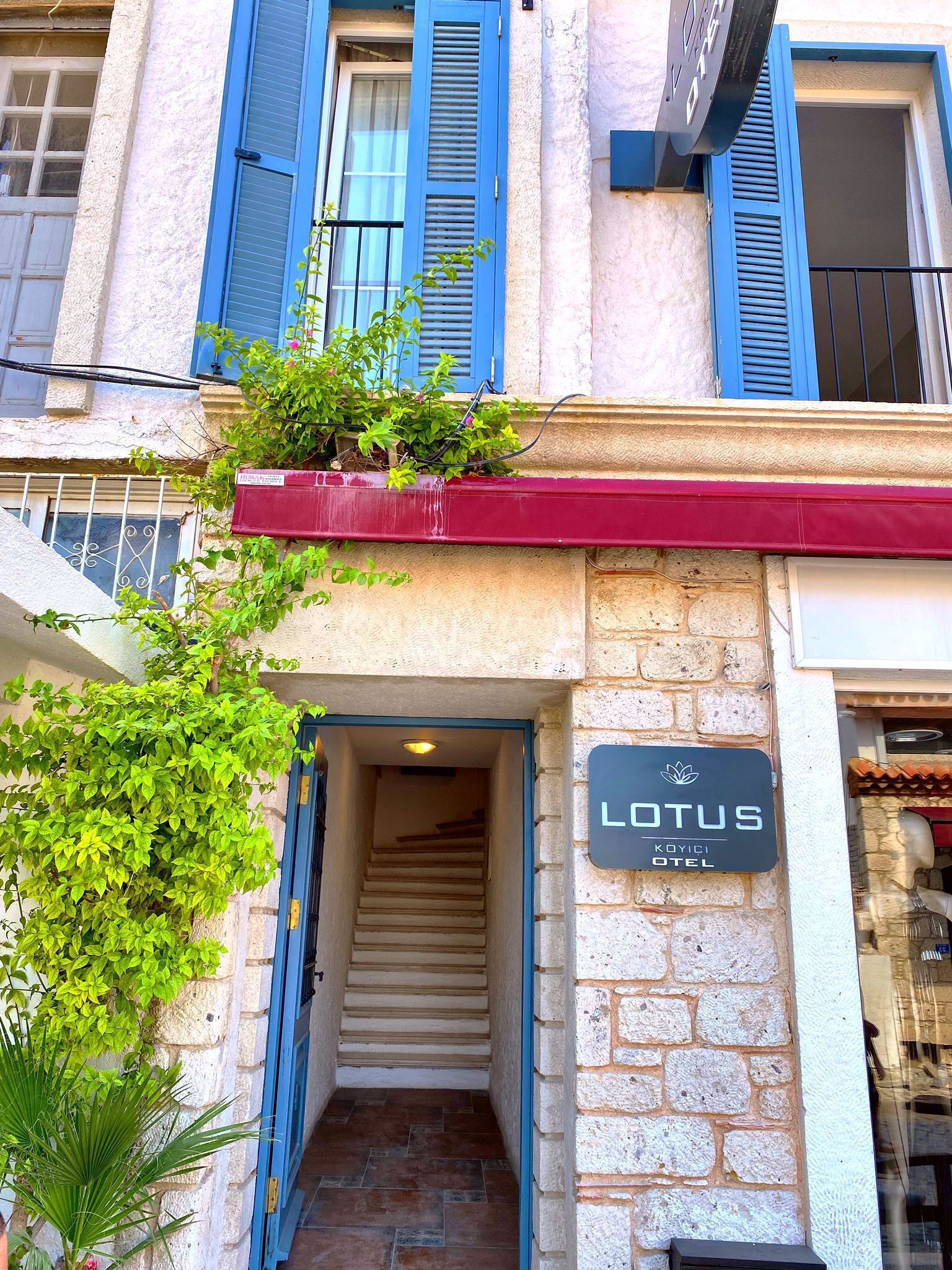 Alacati Lotus Koyici Otel