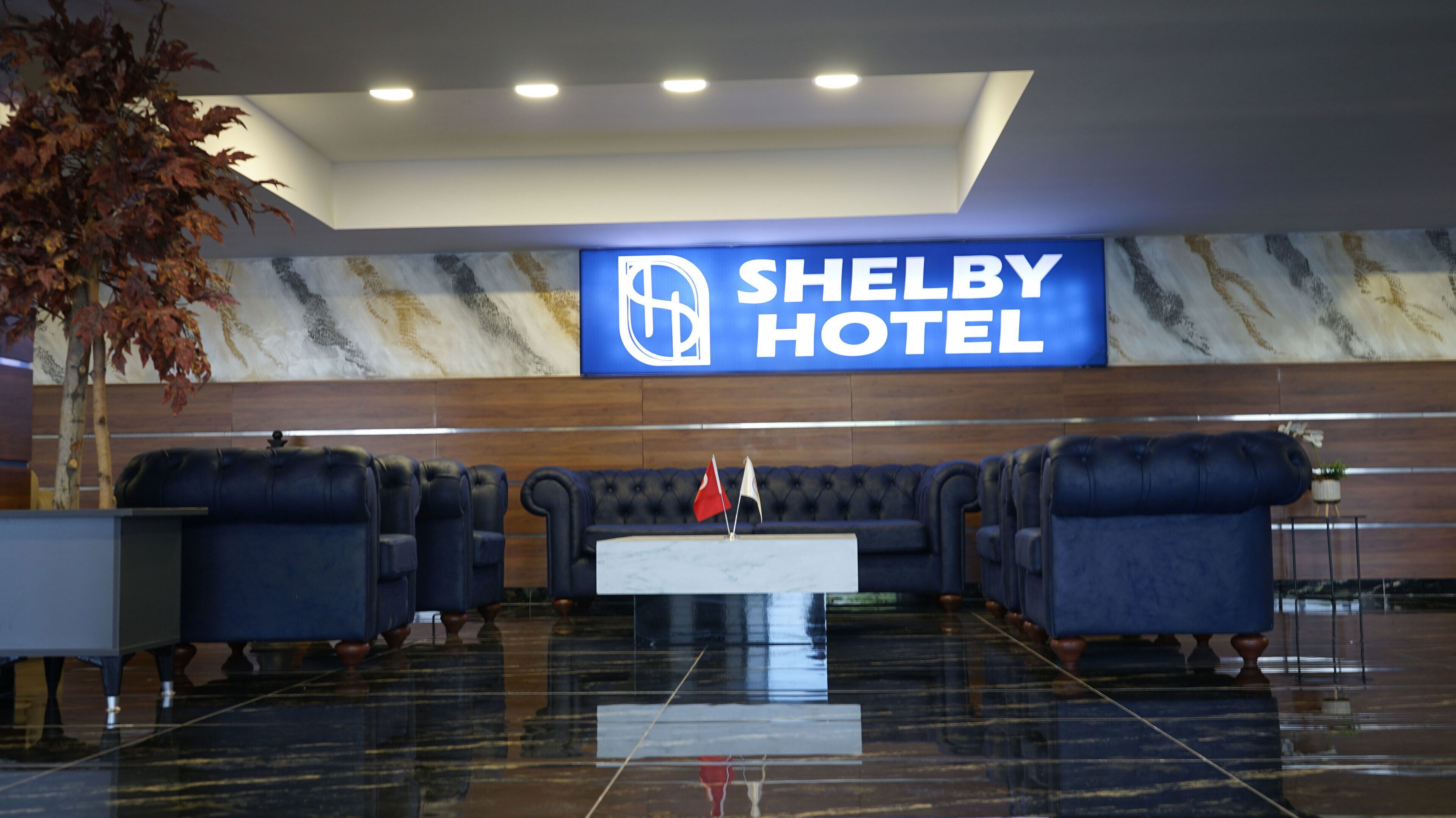 Shelby Hotel galeri fotoğrafı