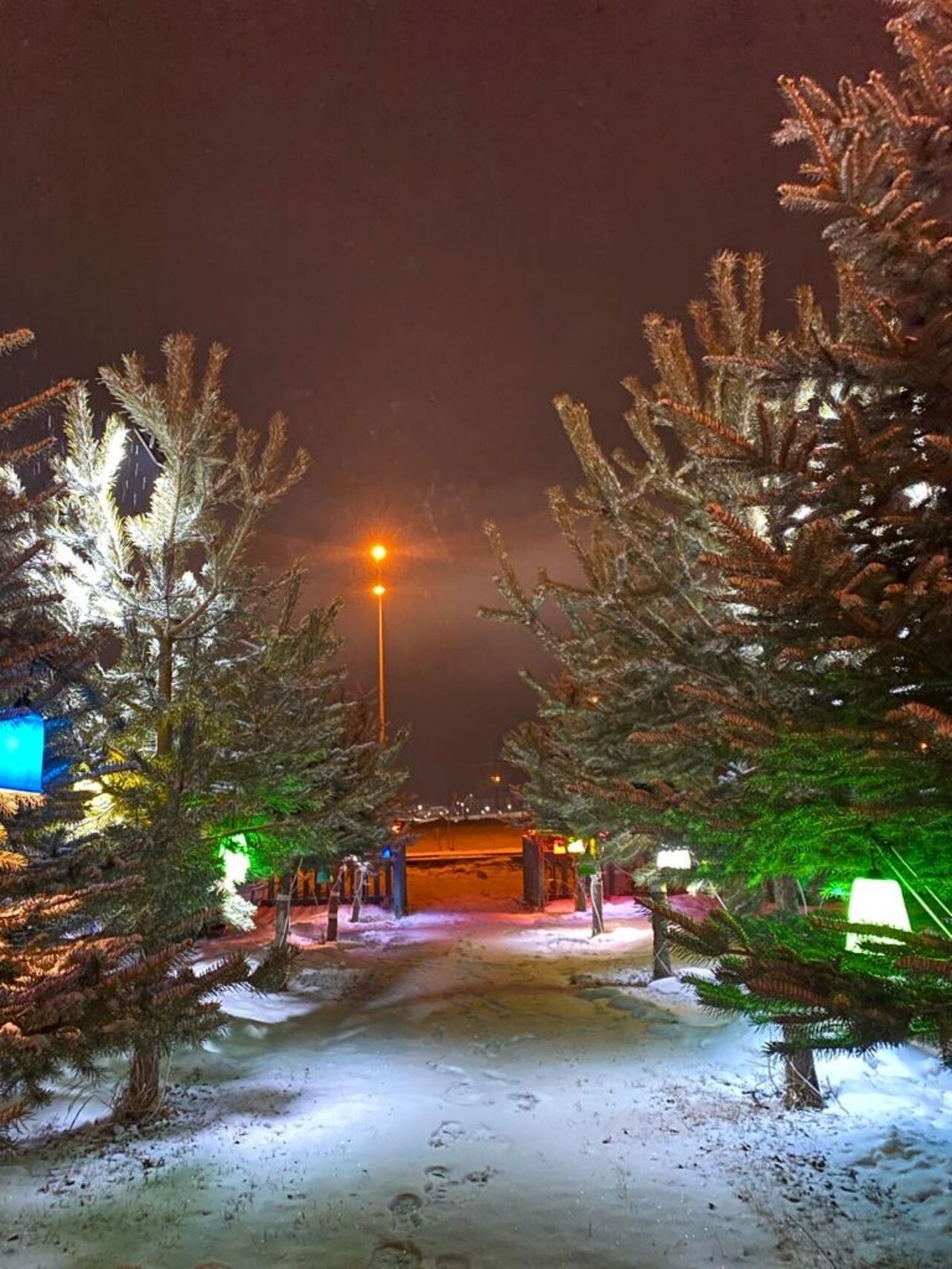 Sarikamis Snow Life Hotel galeri fotoğrafı