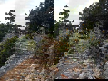 Aysenaz Hanim Konagi