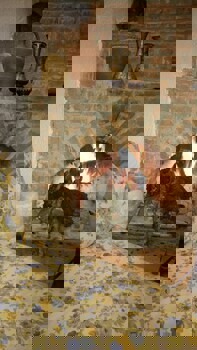 Sirince Dogadaki Evler