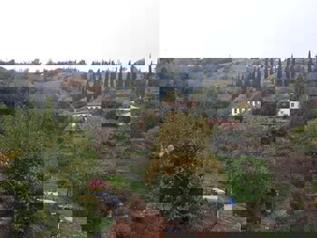 Sirince Dogadaki Evler