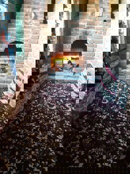 Sirince Dogadaki Evler