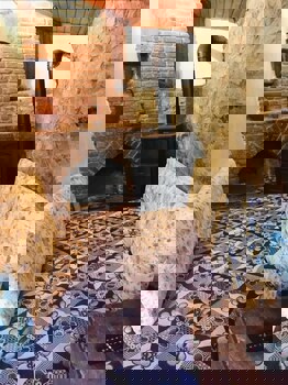 Sirince Dogadaki Evler