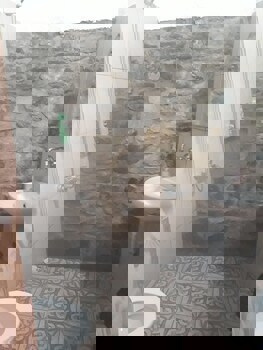 Sirince Dogadaki Evler