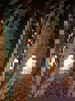 Sirince Dogadaki Evler