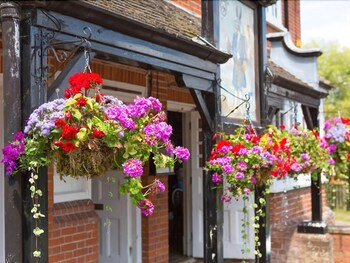 The Trusty Servant