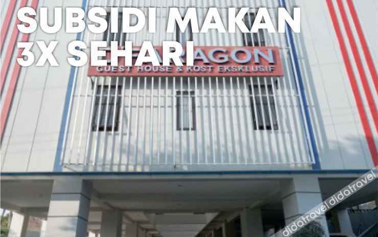 Dparagon Manduro
