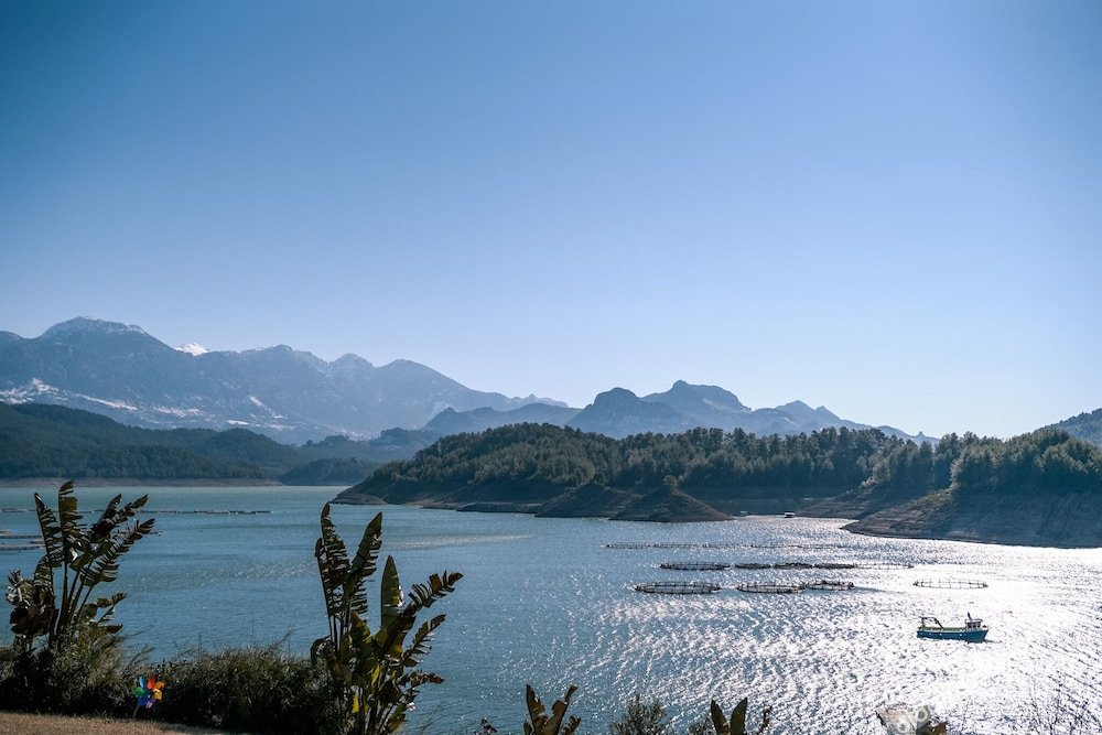 Dolphin Boutique Hotel