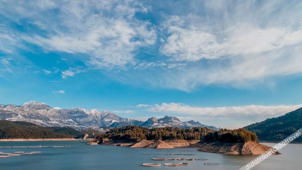 Dolphin Boutique Hotel