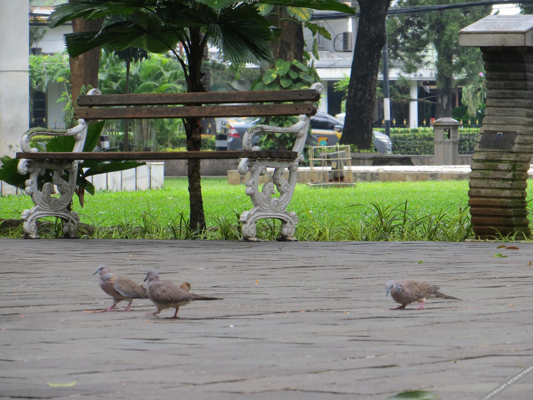 Cove Birah Senopati