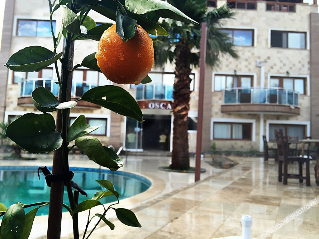 Bodrum Oscar Hotel galeri fotoğrafı