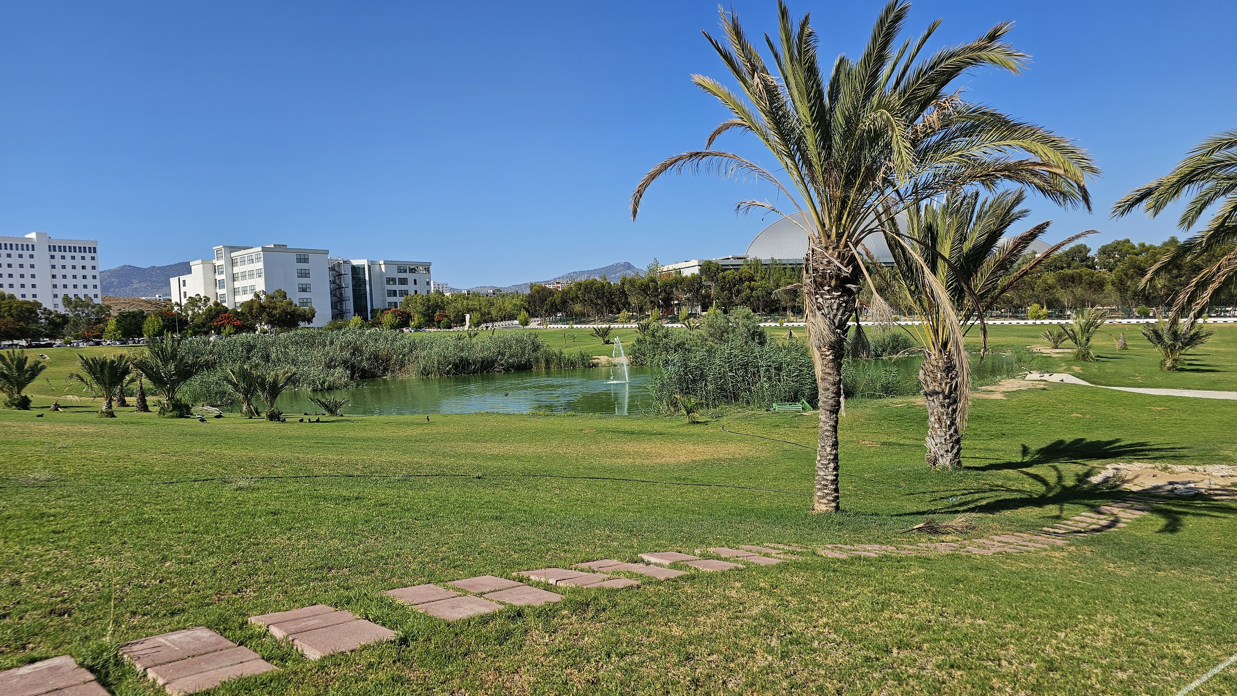 Dorana Residence