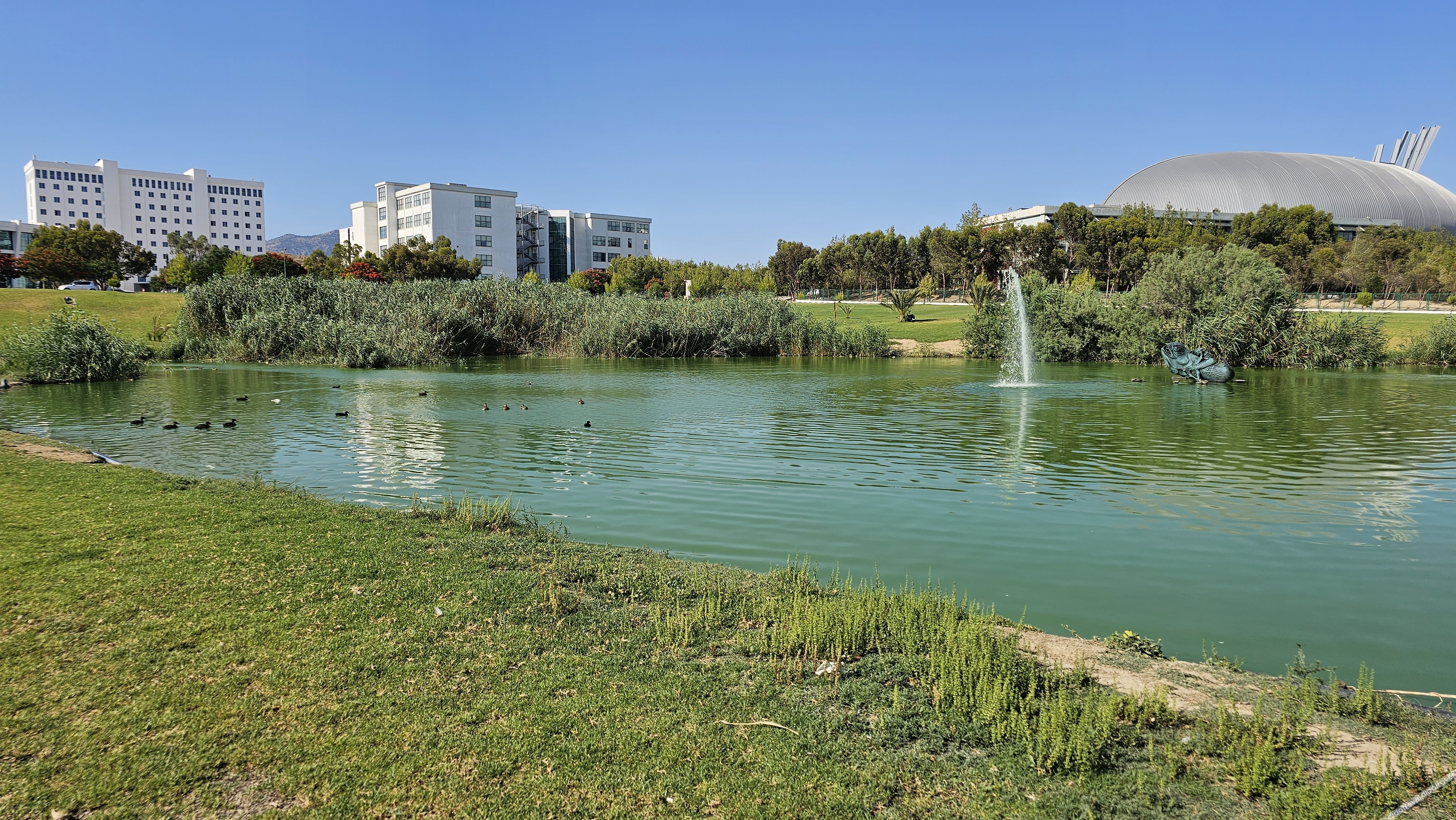 Dorana Residence