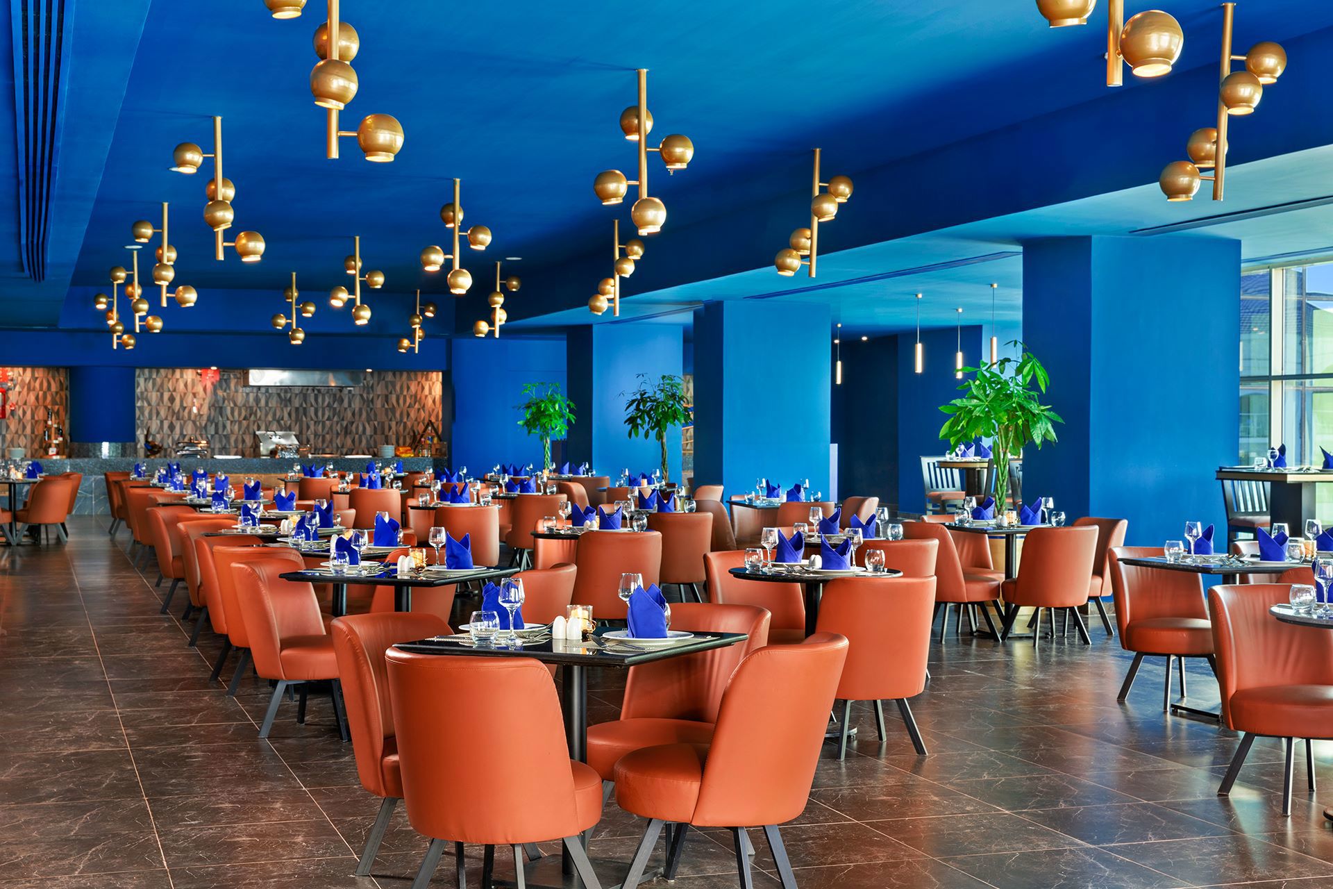Pickalbatros Blu Spa Resort galeri fotoğrafı
