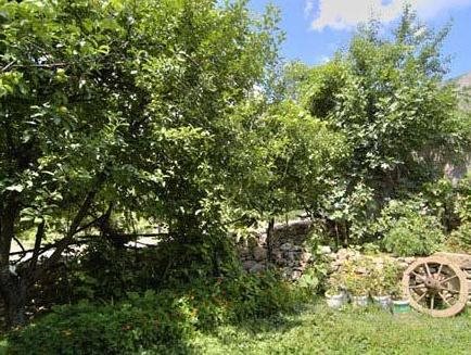 Camlıca Konagı Safranbolu galeri fotoğrafı