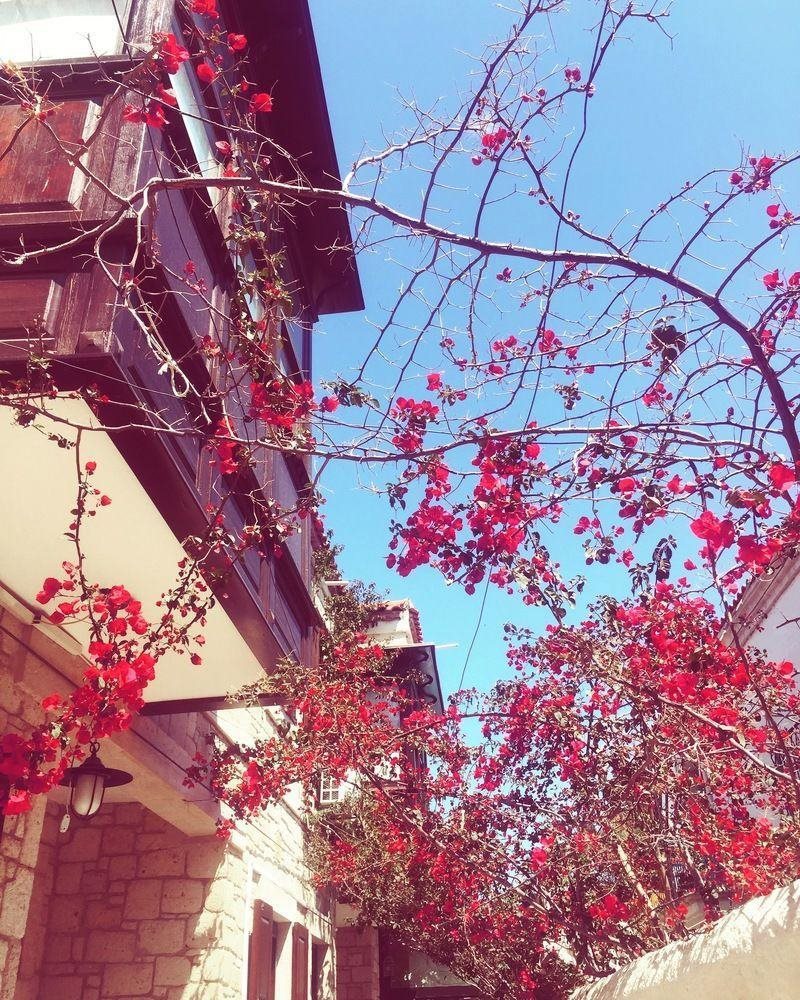 Alayaz Otel
