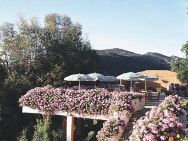 Auberge Des Cascades