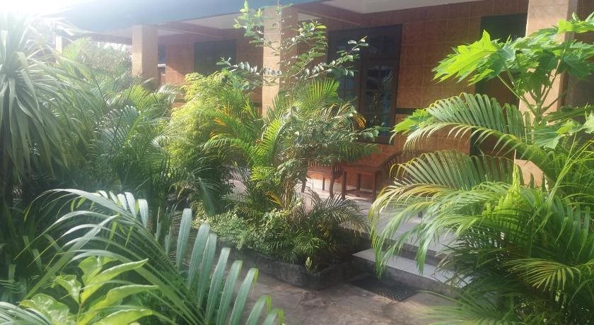 Funny Homestay 2