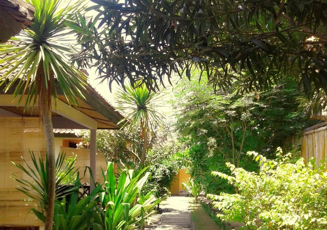 Funny Homestay 2
